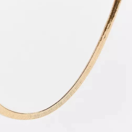 Gold Flat Snake Chain